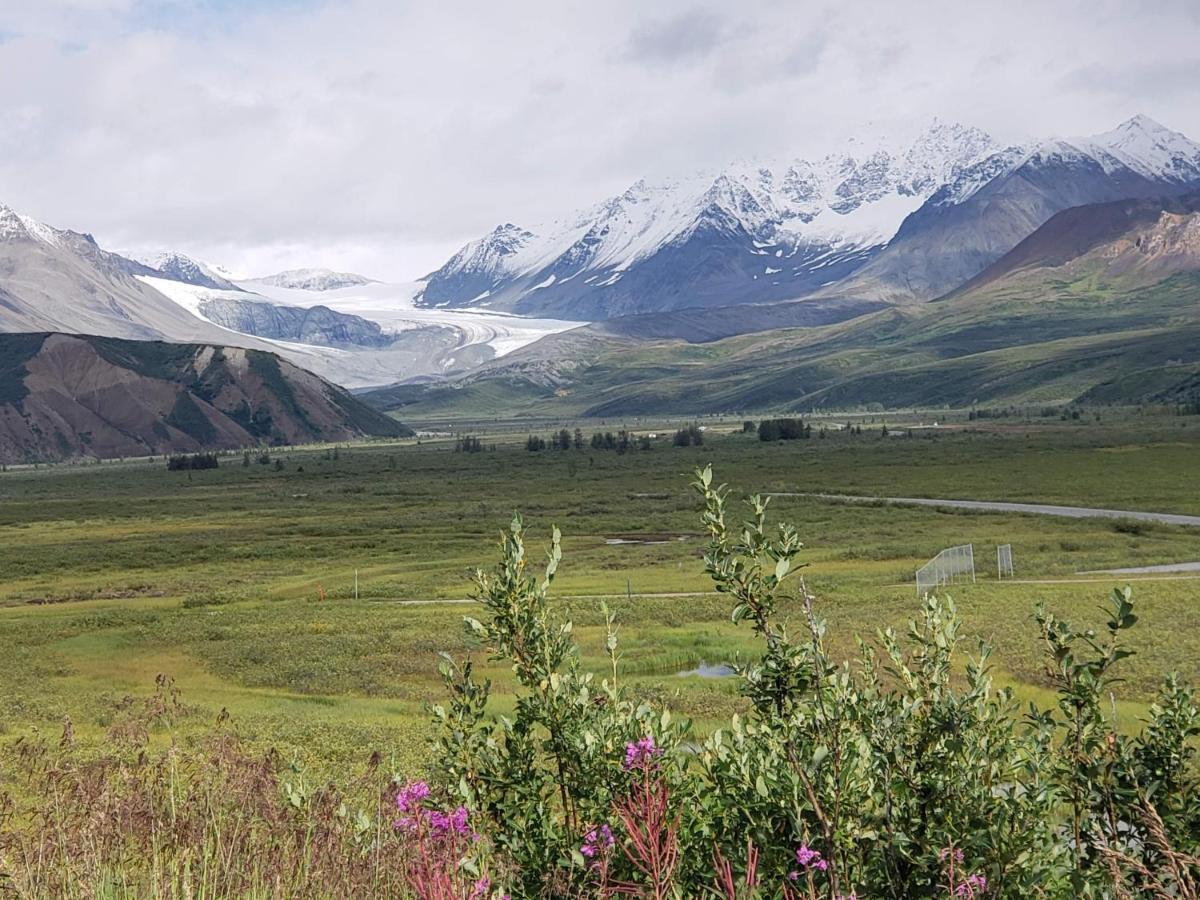Denali Wild Stay - Moose Cabin, Free Wifi, 2 Private Bedrooms, Sleep 6 Healy Kültér fotó