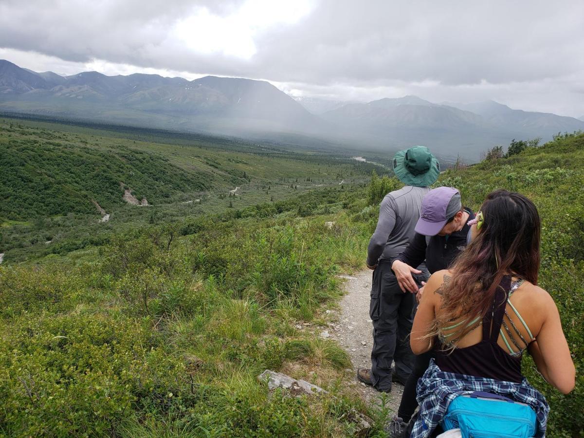 Denali Wild Stay - Moose Cabin, Free Wifi, 2 Private Bedrooms, Sleep 6 Healy Kültér fotó