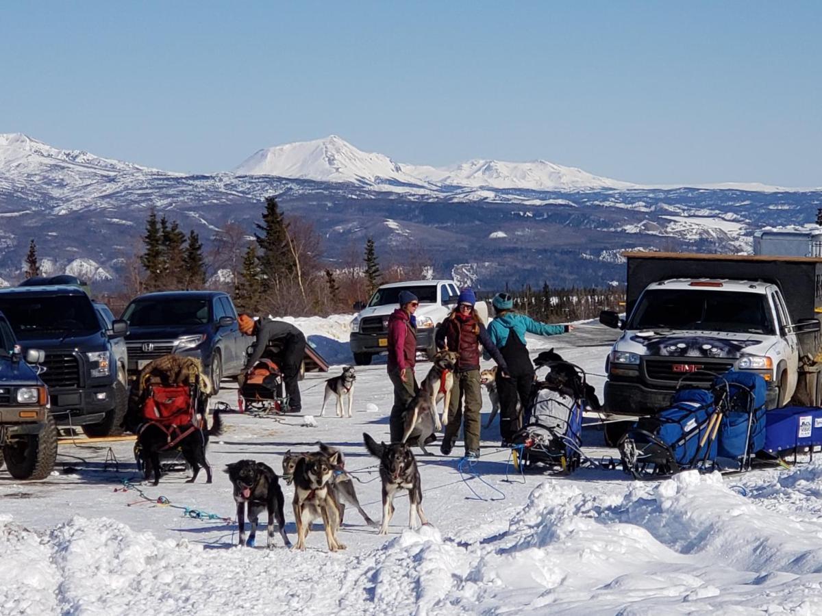 Denali Wild Stay - Moose Cabin, Free Wifi, 2 Private Bedrooms, Sleep 6 Healy Kültér fotó