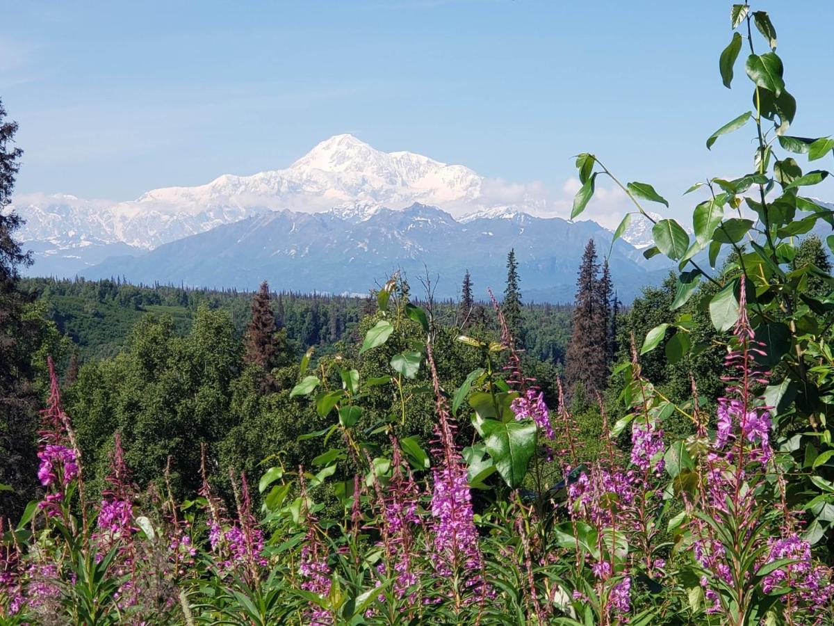 Denali Wild Stay - Moose Cabin, Free Wifi, 2 Private Bedrooms, Sleep 6 Healy Kültér fotó