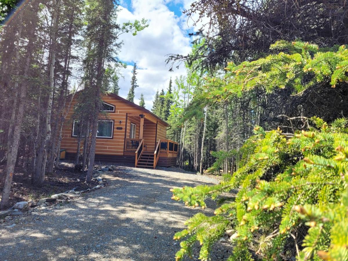 Denali Wild Stay - Moose Cabin, Free Wifi, 2 Private Bedrooms, Sleep 6 Healy Kültér fotó